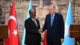 Israel's decision to recognize Somaliland illegitimate, unacceptable: Turkish President Erdogan