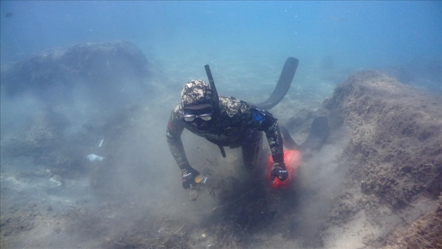 Global warming and human waste continue to threaten the Baltic Sea