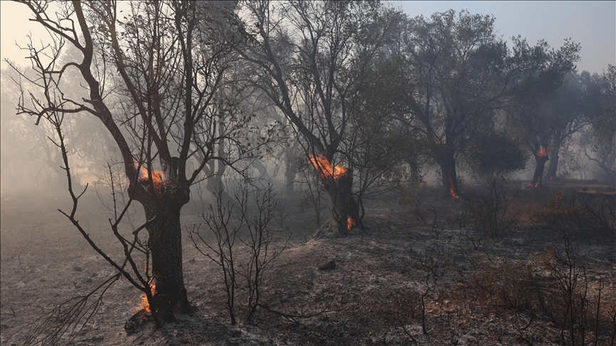 Sipërfaqja e pyjeve të djegura në vendet e BE-së këtë vit shënon humbjen më të madhe të regjistruar ndonjëherë