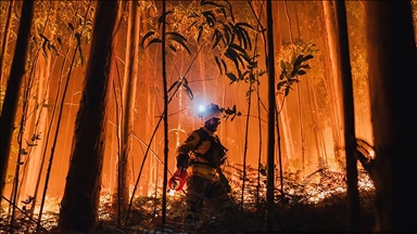 AB ormanları 2025'teki yangınlarda kayıtlardaki en büyük kaybı yaşadı
