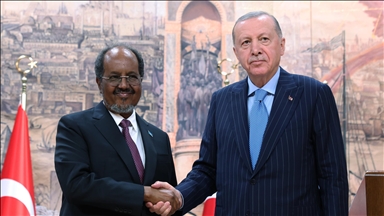 ‘We don't want Israel to come to us, bring problem to us,’ Somali president says on Somaliland recognition