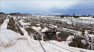 TARSİM tarafından 2026'te teminat altına alınacak ürün ve riskler belirlendi