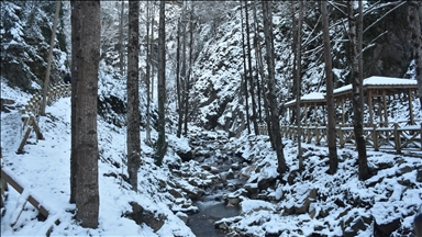 Gümüşhane'deki Çağlayandibi Şelalesi Tabiat Parkı beyaza büründü