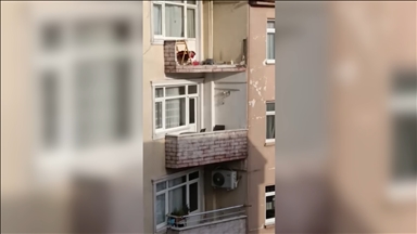 Güngören'de balkon çökmesi sonucu bir otomobil zarar gördü 