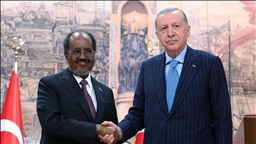 ‘We don't want Israel to come to us, bring problem to us,’ Somali president says on Somaliland recognition