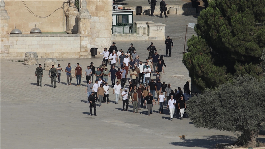 القدس.. إسرائيل تقتل 144 فلسطينيا وتعتقل 11.5 ألفا في 5 سنوات