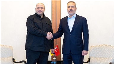 دیدار وزیر خارجه ترکیه و دبیر شورای امنیت ملی اوکراین در آنکارا