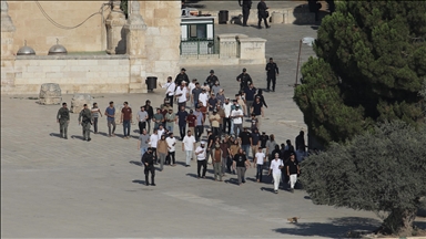 القدس.. إسرائيل تقتل 144 فلسطينيا وتعتقل 11.5 ألفا في 5 سنوات