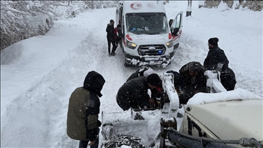 Li Wanê jina di bin şepeyê da ma li nexweşxaneyê mir