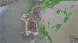 Tekirdağ'daki Türkmenli Göleti'nde su kritik seviyeye geriledi