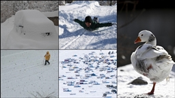 Birçok ilde kar etkili oluyor