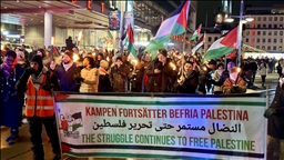 Suedi, anulohen festimet e vitit të ri dhe mbahet protestë në mbështetje të Palestinës