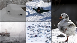 Birçok il yeni yılın ilk gününde beyaza büründü