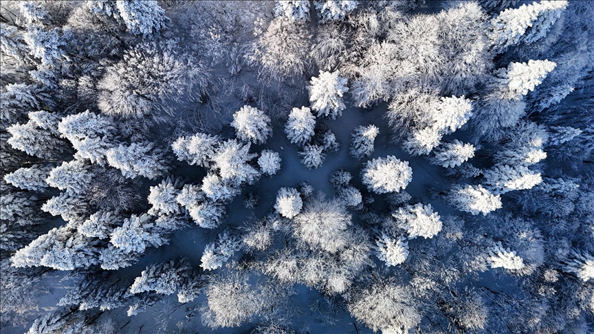 Beyaz örtüyle kaplanan Çam Dağı havadan görüntülendi