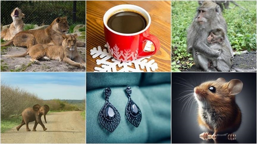 Year of the bizarre: Strange and shocking events of 2025 capture global headlines