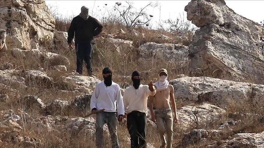 الضفة.. إصابة 15 فلسطينيا جراء اعتداء نفذه مستوطنون في بيت لحم