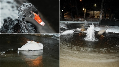 Başkentin simgelerinden Kuğulu Park'taki havuzun yüzeyi buz tuttu