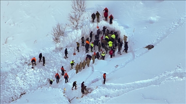 Artvin'de çığ altında kalan çobanı arama çalışmalarına ara verildi