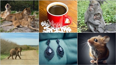 Year of the bizarre: Strange and shocking events of 2025 capture global headlines