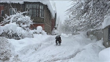 Li Wan, Hekarî, Bedlîs û Mûşê rêya hezar û 644 cî û waran ji ber berfê hatiye girtin