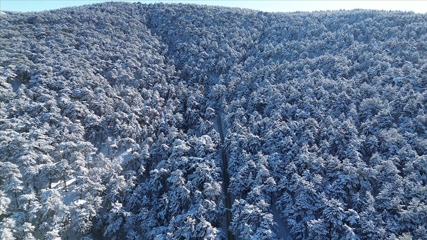 Karla kaplanan Yozgat Çamlığı Milli Parkı dron ile görüntülendi