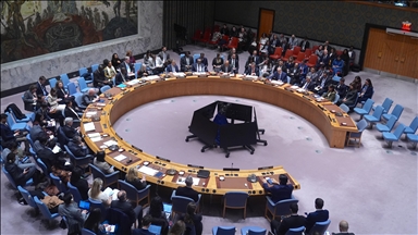 Somalia assumes UN Security Council presidency for January