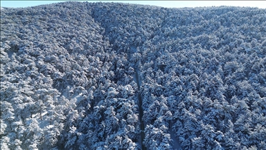 Karla kaplanan Yozgat Çamlığı Milli Parkı dron ile görüntülendi