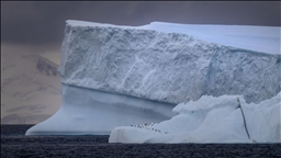 Türkiye'nin kutuplardaki ayak izi 10 yaşında