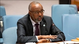 سومالی: تصمیم اسرائیل در به رسمیت شناختن «سومالی‌لند» تلاشی برای منحرف کردن توجه جهان از فلسطین است