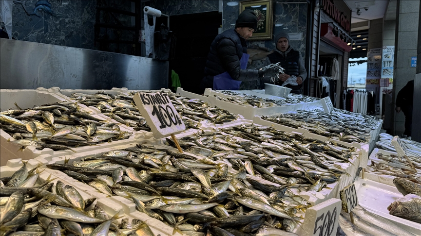Trabzon'da balıkçı tezgahlarında hamsi ve istavrit ilgi görüyor