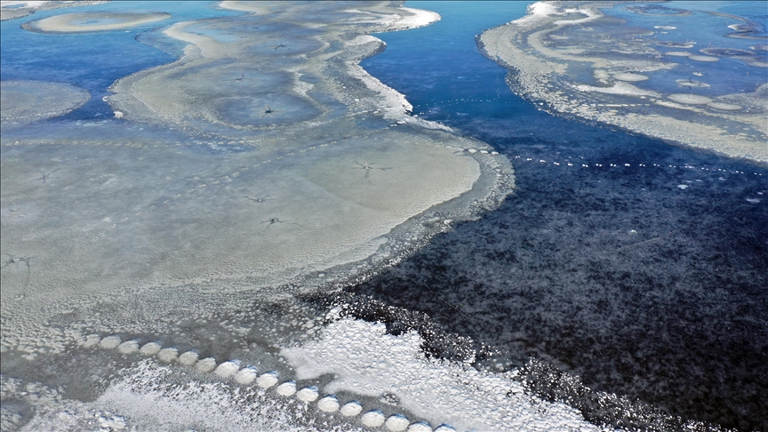 Li Îdirê qadên avî yên ku mazûvaniya teyr û tilûran dikin, qerimîn