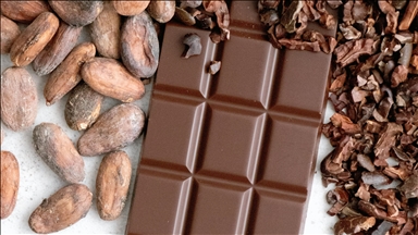 Kakao fiyatları 2025'te yüzde 48,1 ile tüm zamanların en hızlı yıllık düşüşünü kaydetti