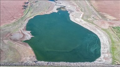 Diyarbakır'da "kuş cenneti" olarak bilinen Kabaklı Göleti kuruma tehlikesi yaşıyor