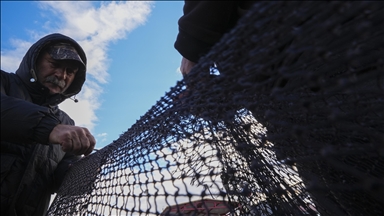 Yarısı tamamlanan av sezonunda hamsi ve sardalya yüz güldürdü
