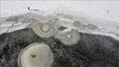 Iğdır'da kuşlara ev sahipliği yapan sulak alanlar dondu