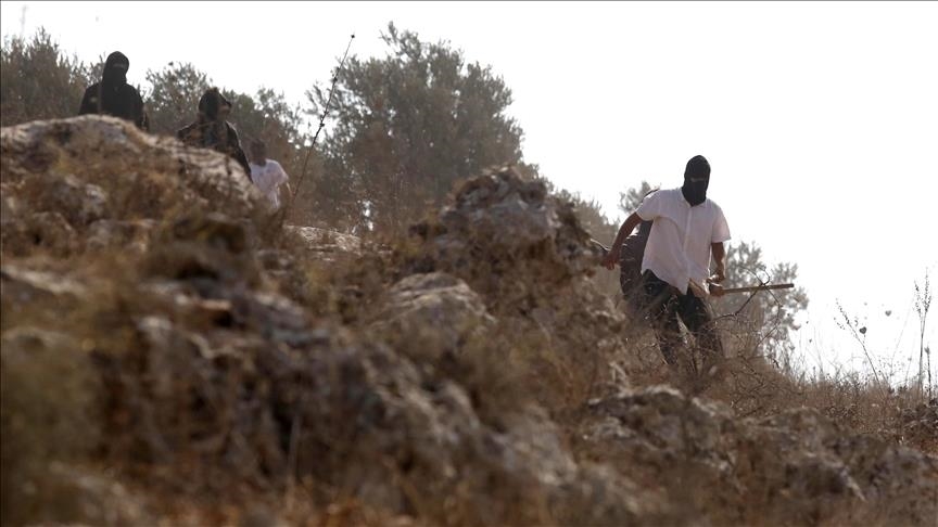 الضفة 2025.. مقتل 14 فلسطينيا وتهجير 13 تجمعا بدويا باعتداءات مستوطنين