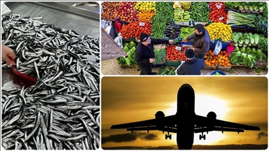 Aralık 2025'te fiyatı en fazla artan ürün "taze balık", en çok düşen "hava yoluyla yolcu taşımacılığı" oldu