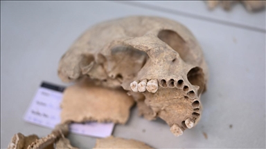 Çayönü Tepesi'nde yaşayan insanların genetik haritası çıkarılıyor