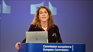 AB Komisyonu: Venezuela'yı Venezuelalılar yönetmeli