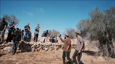 الضفة.. مستوطنون يصيبون فلسطينيا ويقتلعون 150 شجرة زيتون