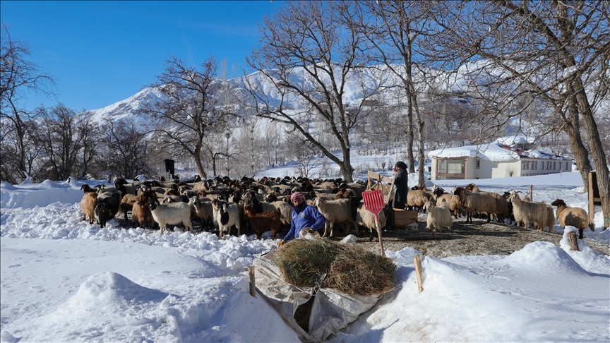 Li Hekariya ku sitûriya berfê lê cî bi cî gihiştiye 2 metroyan, ajeldar zehmetiyan dikişînin