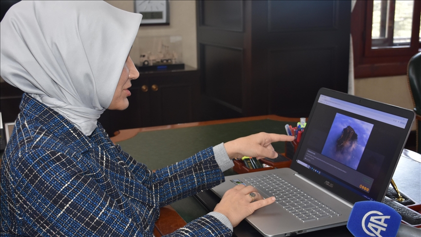 Afyonkarahisar Valisi Yiğitbaşı, AA'nın "Yılın Kareleri" oylamasına katıldı