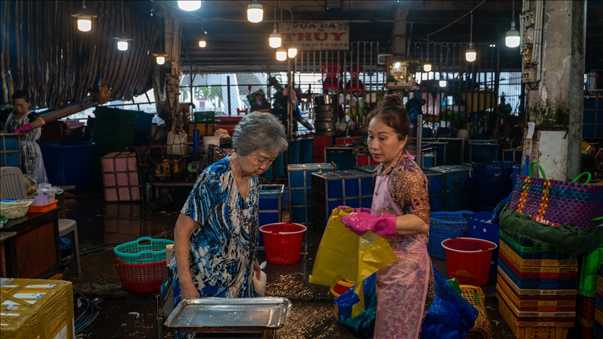 Saltwater fish fetches record $3.2M in auction at Tokyo market
