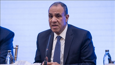 Egypt calls for ‘not remaining silent’ over Israel’s recognition of breakaway Somali region
