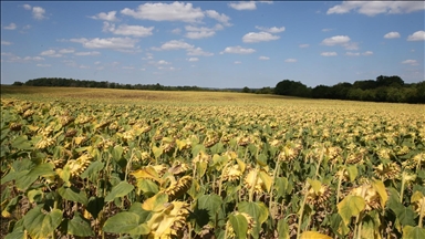 France/UE : 45 milliards d'euros supplémentaires pour sécuriser les aides agricoles