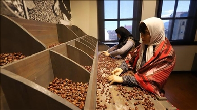 Ordu'da Kahraman Sağra Fındık Müzesi 14 bin 550 ziyaretçiyi ağırladı