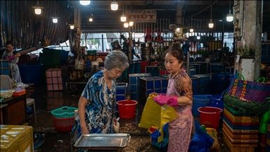 Saltwater fish fetches record $3.2M in auction at Tokyo market