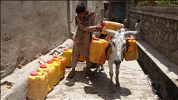 فائو: زمستان خشک و گرم در افغانستان کشاورزی و امنیت غذایی را تهدید می‌کند