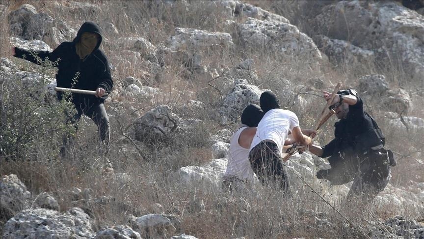 الضفة.. إصابة فلسطيني باعتداء مستوطنين على مزارعين في بلدة المغير 