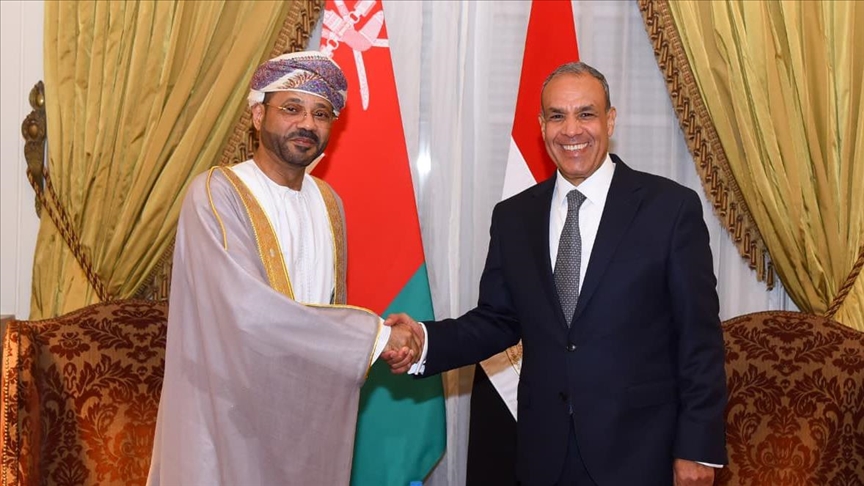 دعم مصري عماني لتسوية توافقية لقضية الجنوب اليمني بمؤتمر الرياض
